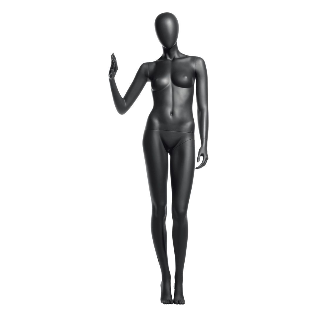 images/position/337/337.jpg