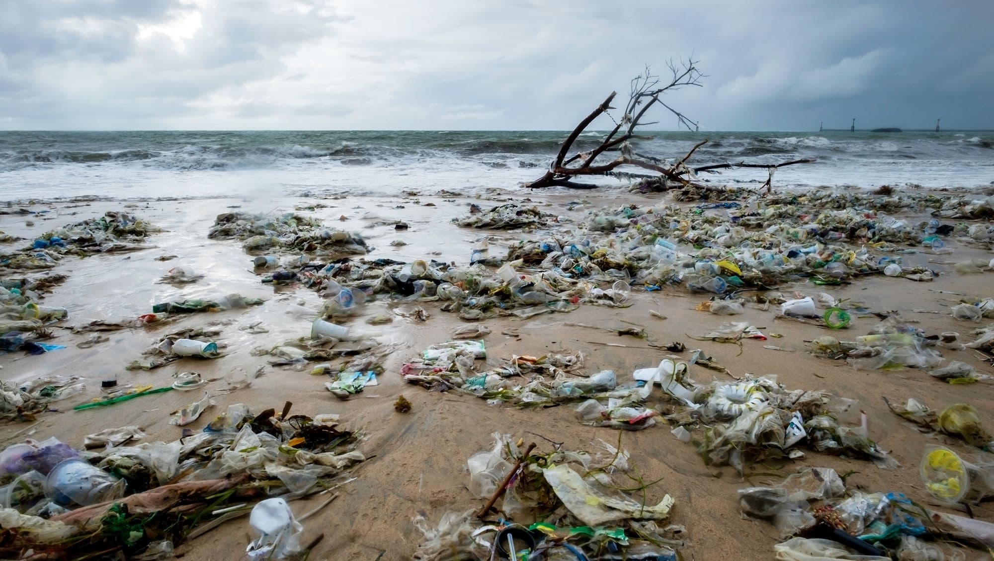 sustainability