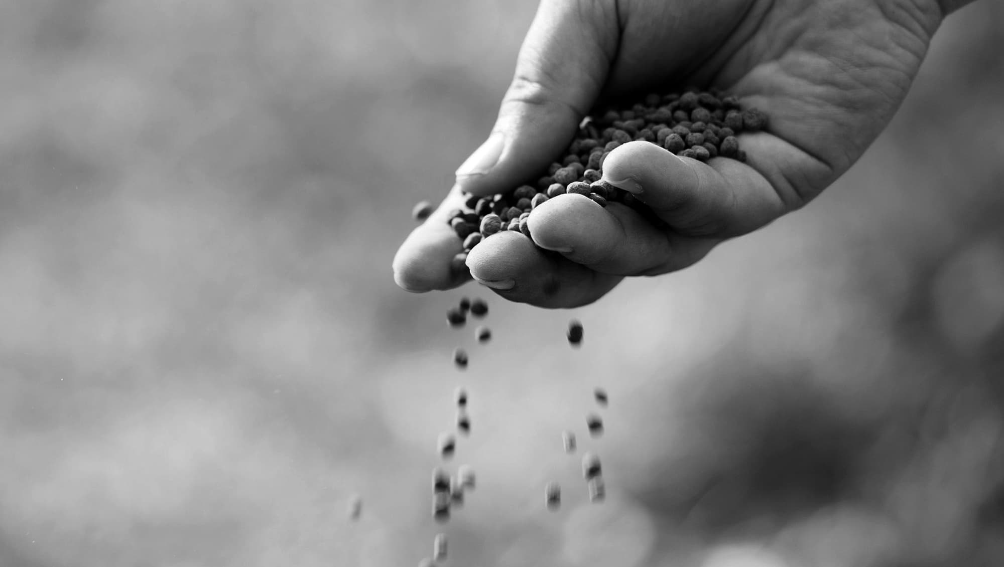 sustainability